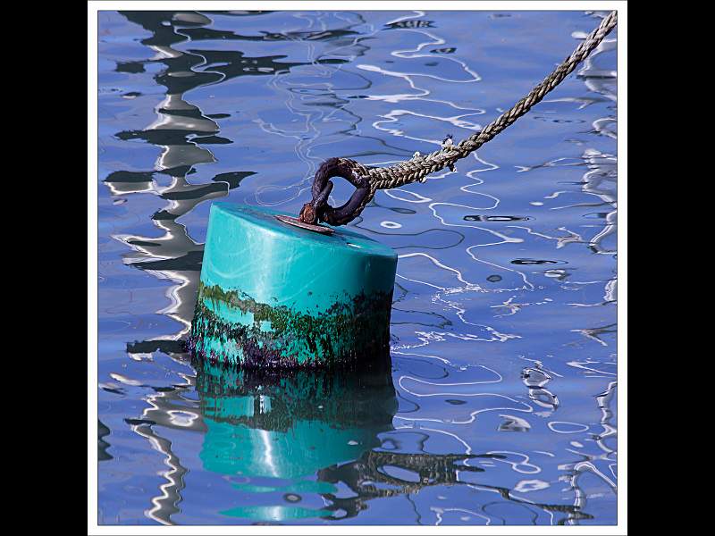 THE BOUY.jpg - The Bouy